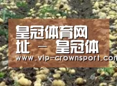 种植基地七