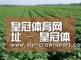 种植基地五(图1)