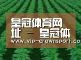 种植基地六(图1)