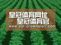 种植基地六