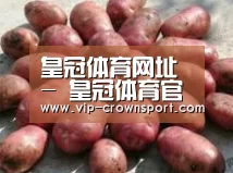 产品展示标题5