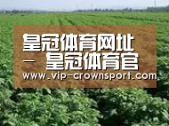 种植基地五
