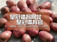 产品展示标题5(图1)