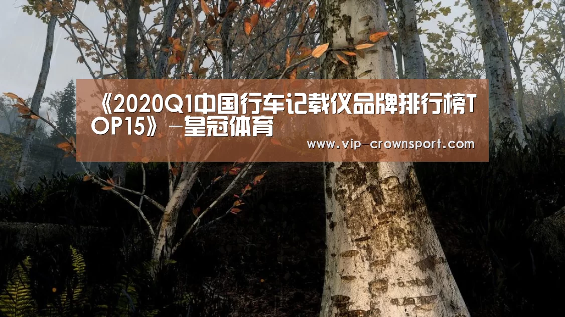 《2020Q1中国行车记载仪品牌排行榜TOP15》-皇冠体育(图1) 皇冠体育app