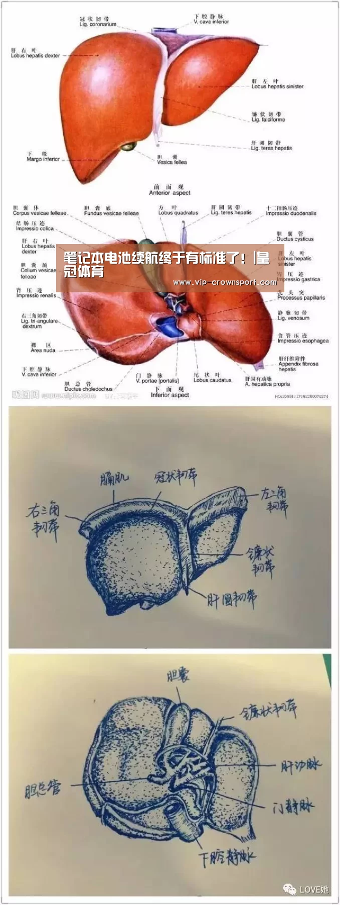 皇冠体育app