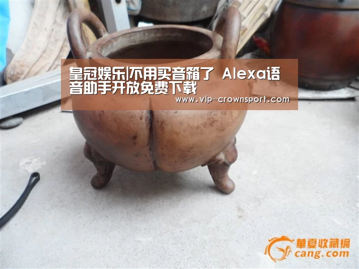 皇冠娱乐|不用买音箱了 Alexa语音助手开放免费下载(图3) 皇冠体育