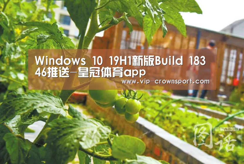 皇冠体育官网