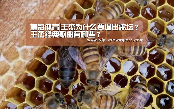 皇冠体育app