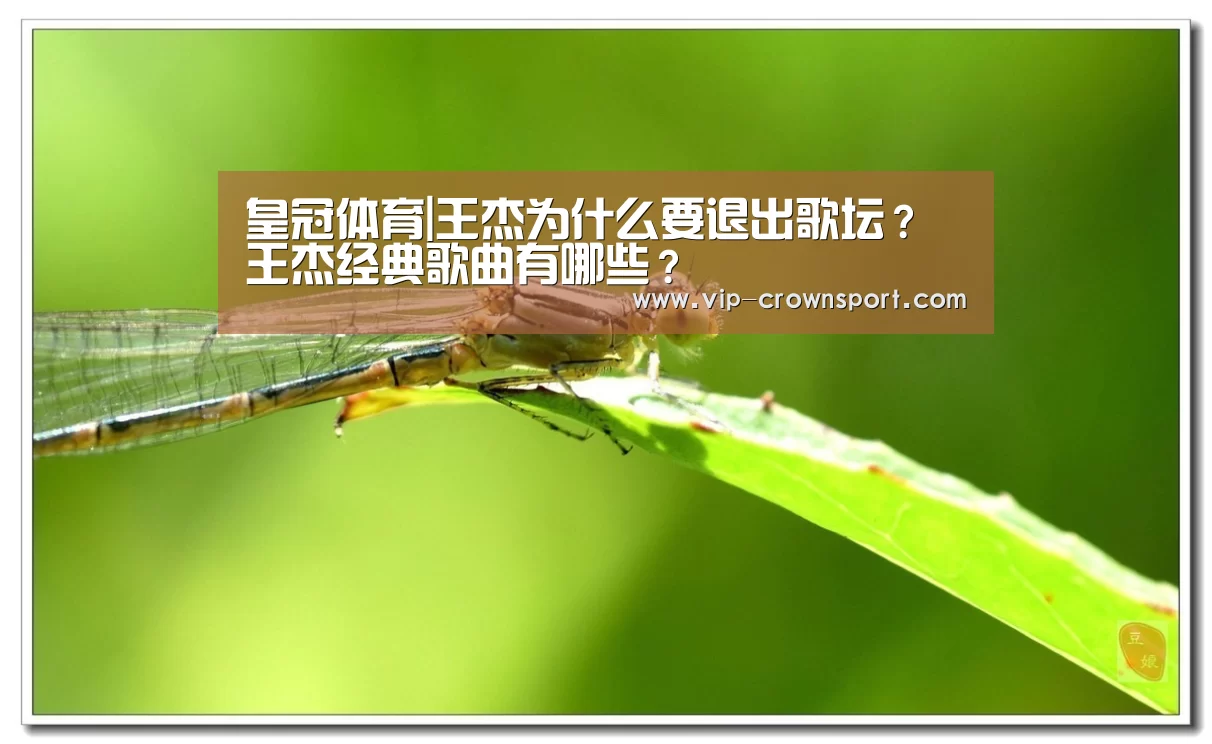 皇冠体育官网